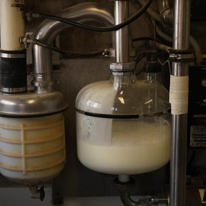 Company behind lab-grown milk protein eyes 好色tv animal-free dairy market